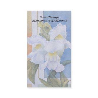 WHITE SNAP DRAGONS CUSTOMIZABLE