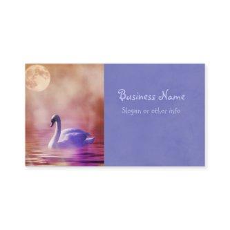White Swan floating on a misty lake