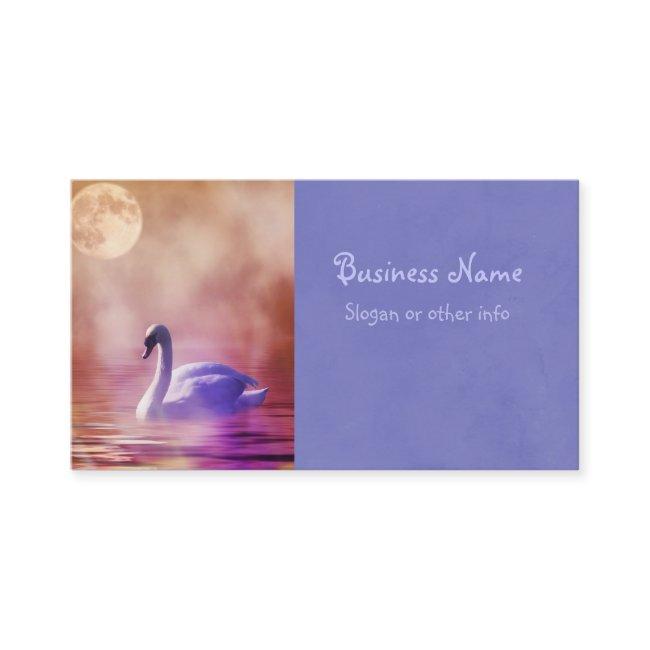 White Swan floating on a misty lake