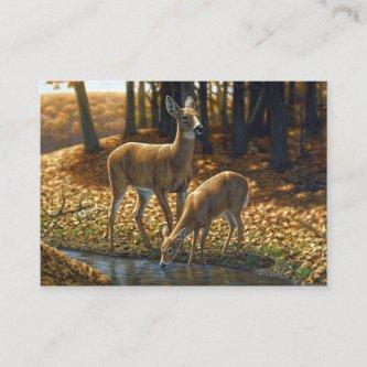 Whitetail Doe and Fawn Drinking from a Stream