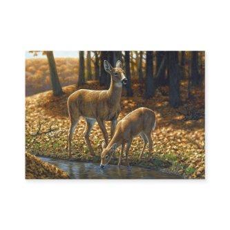 Whitetail Doe and Fawn Drinking from a Stream