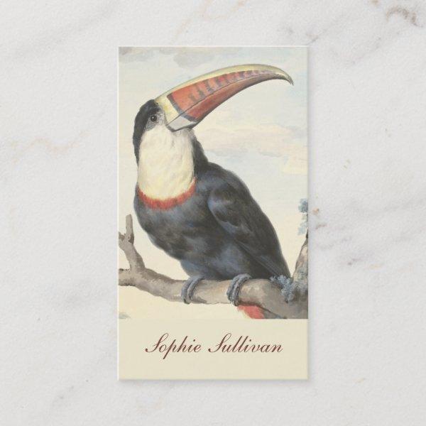 Whitethroated American Toucan Vintage Watercolor
