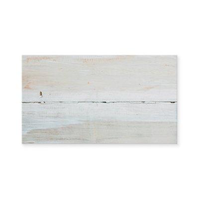 Whitewashed Barn Wood White Woodgrain