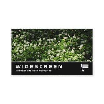 Widescreen 0437 - Wild Garlic