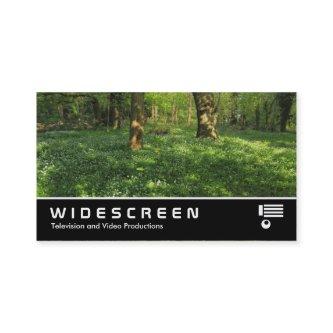 Widescreen 0439 - Spring in the Woods