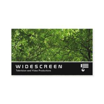 Widescreen 0445 - Woodland Canopy
