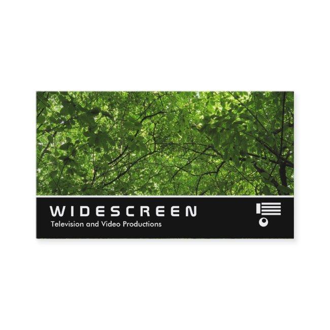 Widescreen 0445 - Woodland Canopy
