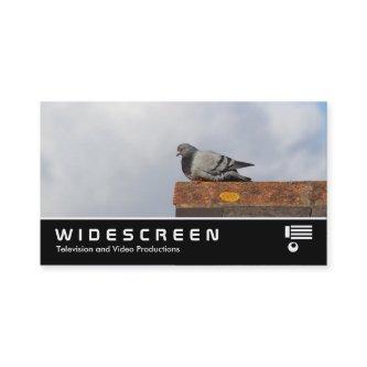 Widescreen 0466 - Good Morning Pigeon