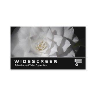 Widescreen 0472 - White Camellia