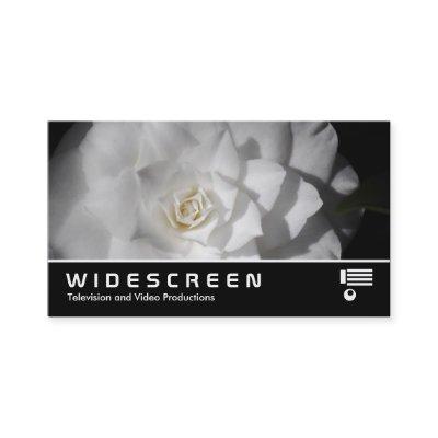 Widescreen 0472 - White Camellia