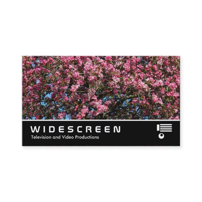 Widescreen 0473 - Pink Cherry Blossom
