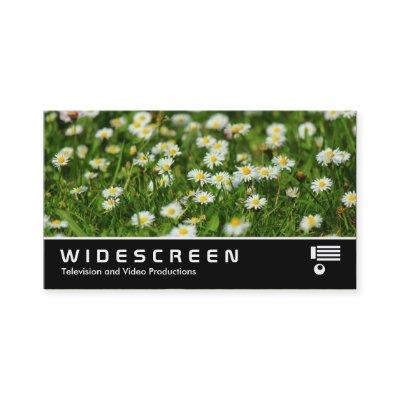 Widescreen 0474 - Daisies