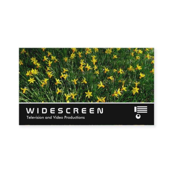 Widescreen 204 - Daffodils/Narcissus