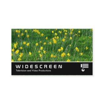 Widescreen 205 - Daffodils/Narcissus