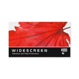 Widescreen 356 - Japanese Maple Leaf