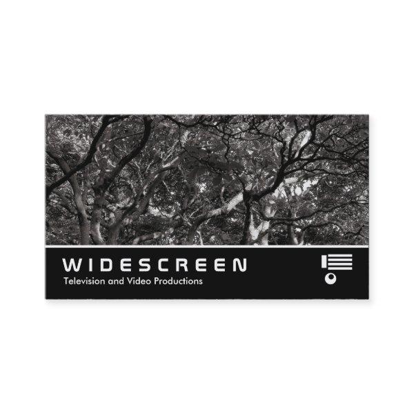 Widescreen 376 - Japanese Branches III
