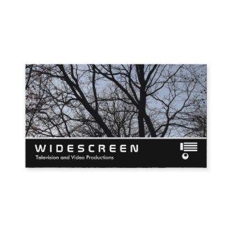 Widescreen 383 - Silhouetted Branches