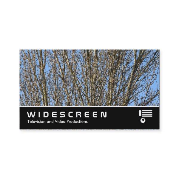 Widescreen 384 - Sunlit Branches