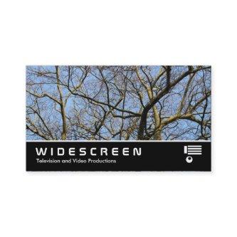 Widescreen 385 - Branches in the Sun