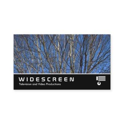 Widescreen 389 - Silver Birch Branches