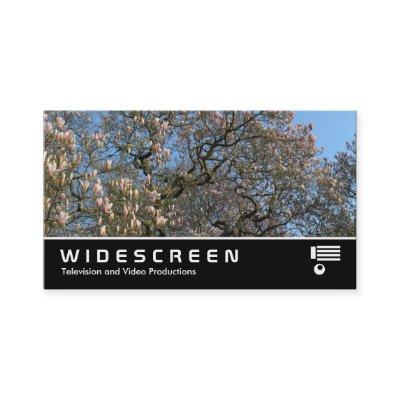 Widescreen 391 - Magnolia Trees