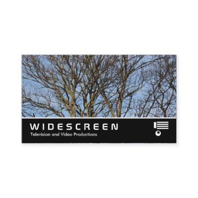 Widescreen 392 - Sunlit Trees