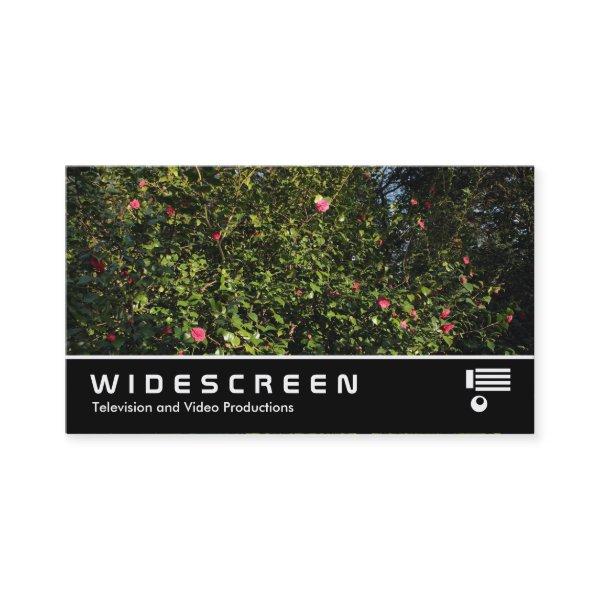 Widescreen 394 - Camellia Bush