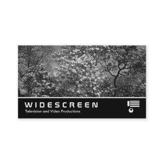 Widescreen 398 - Magnolia Tree in Blossom (B&W)