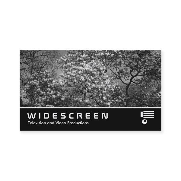 Widescreen 398 - Magnolia Tree in Blossom (B&W)