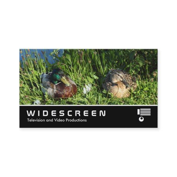 Widescreen 407 - Mr and Mrs Mallard
