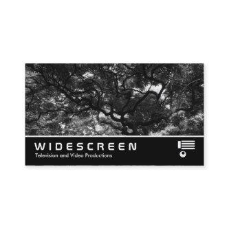 Widescreen 410 - Amongst the Magnolia Trees