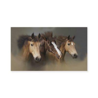 Wild Horse Trio