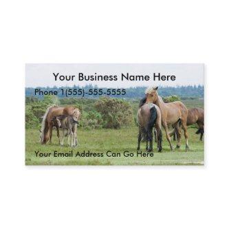 Wild Horses and foals