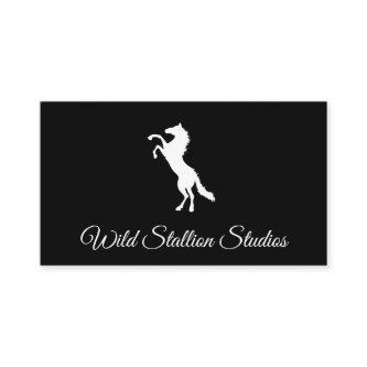 Wild Stallion