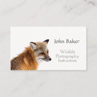 Wildlife Photography Instruction