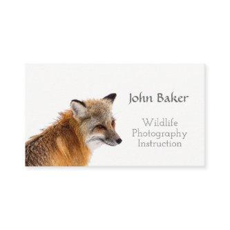 Wildlife Photography Instruction