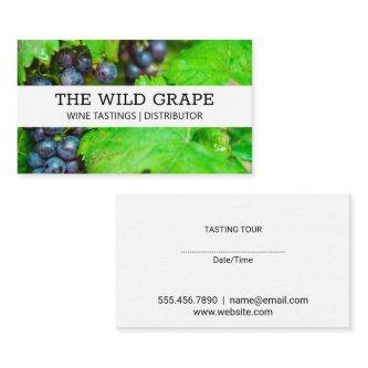 Wine Grapes and Leaves