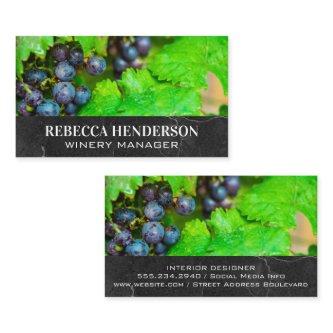 Wine Grapes and Leaves