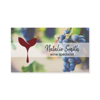 Wine Grapes | Wine Barrel | Grapes on Vine