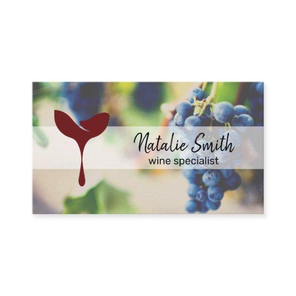 Wine Grapes | Wine Barrel | Grapes on Vine