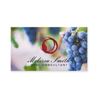 Wine Stain | Wine Grapes Vineyard