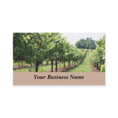 Winery and Vineyard