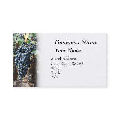 Winery, Wine, Vineyard