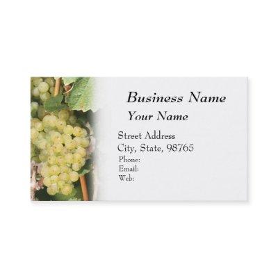 Winery, Wine, Vineyard