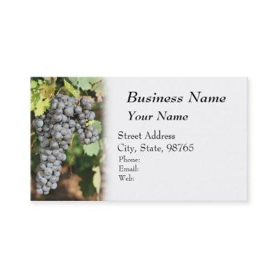 Winery, Wine, Vineyard
