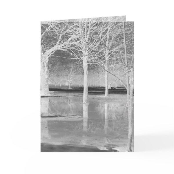 Winter Solstice Greeting Card by Janz