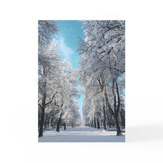 winter walk in the park holiday card