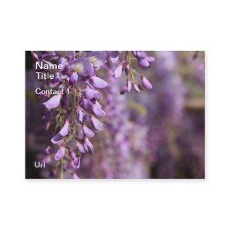 Wisteria