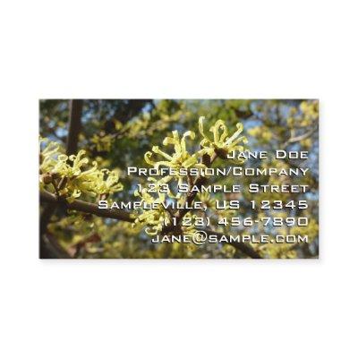 Witch Hazel Flowers