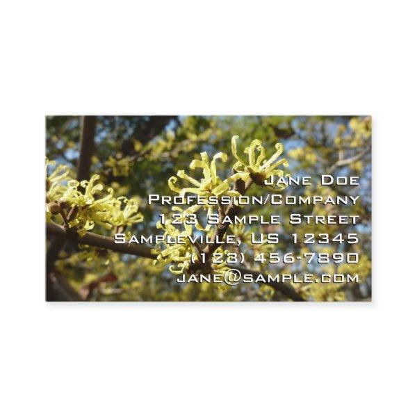 Witch Hazel Flowers